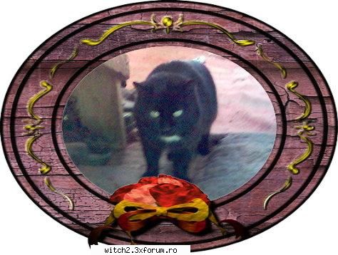DESPRE ELE! - asta e pisica mea,dar e acum la ţară =( - Animalutzele noastre