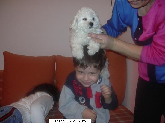 Poze - si eu stau la casa si am 3 caini dar numai cu ala - Animalutzele noastre